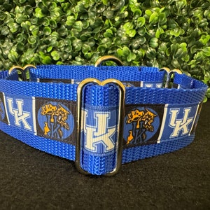 University of Kentucky Dog Collar