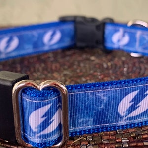 3/4” and 1" Florida Sports Dog Collar for Small Dogs Too!