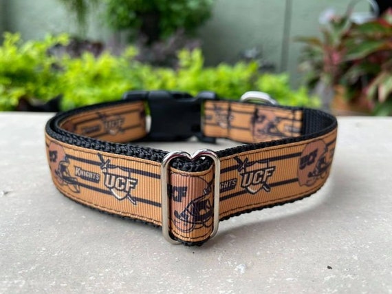 modko modkat litter box