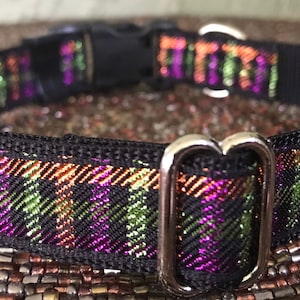 3/4" & 1" Metallic Halloween Dog Collar