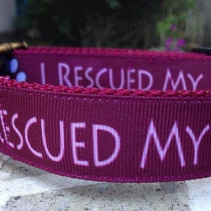 3/4" & 1" I Rescued My Human Tag Collar