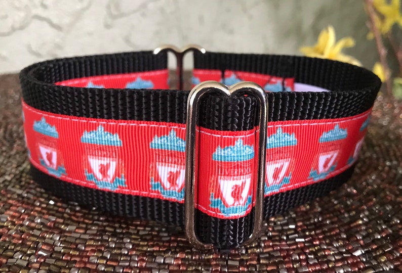Liverpool Football Club Dog Collar Etsy