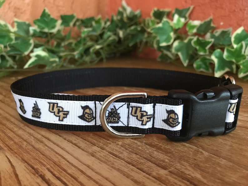 ucf dog collar