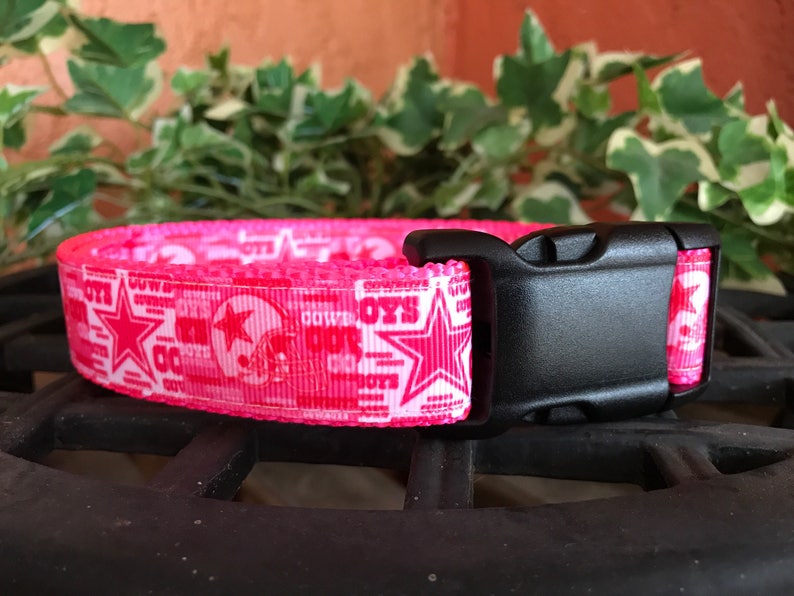 pink dallas cowboys dog collar