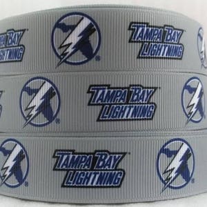 3/4&quot; or 1&quot; Tampa Bay Lightning Dog Collar