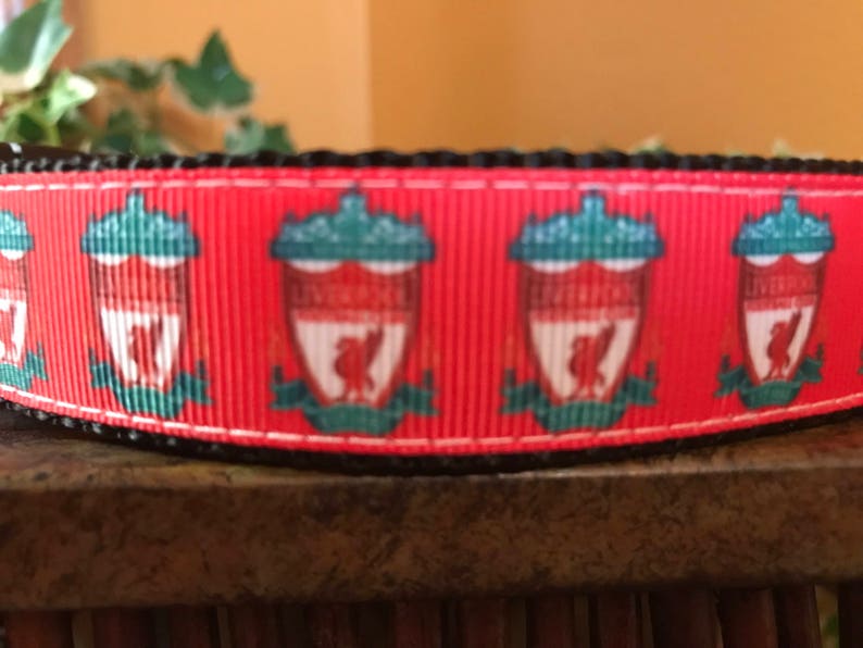 Liverpool Premiere League Dog Collar Etsy