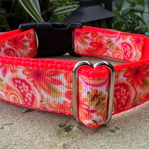 1" or 1.5" Vivid Orange Dog Collar