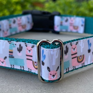 Llamas Dog Collar