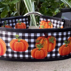 1.5" or 2" Pumpkin Dog Collar