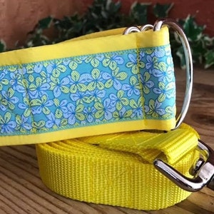1.5" & 2" Blue and Yellow Flowers Collar