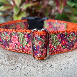 Autumn Paisley Dog Collar