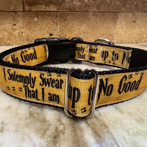 Wizard inspired Dog Collar
