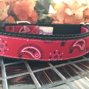 Bandanna Print Dog Collar