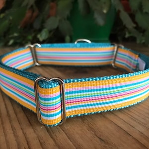 Fruit Striped Dog Collar