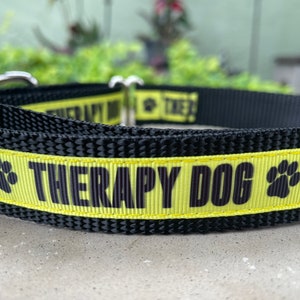 3/4" and 1" Therapy Dog Collar