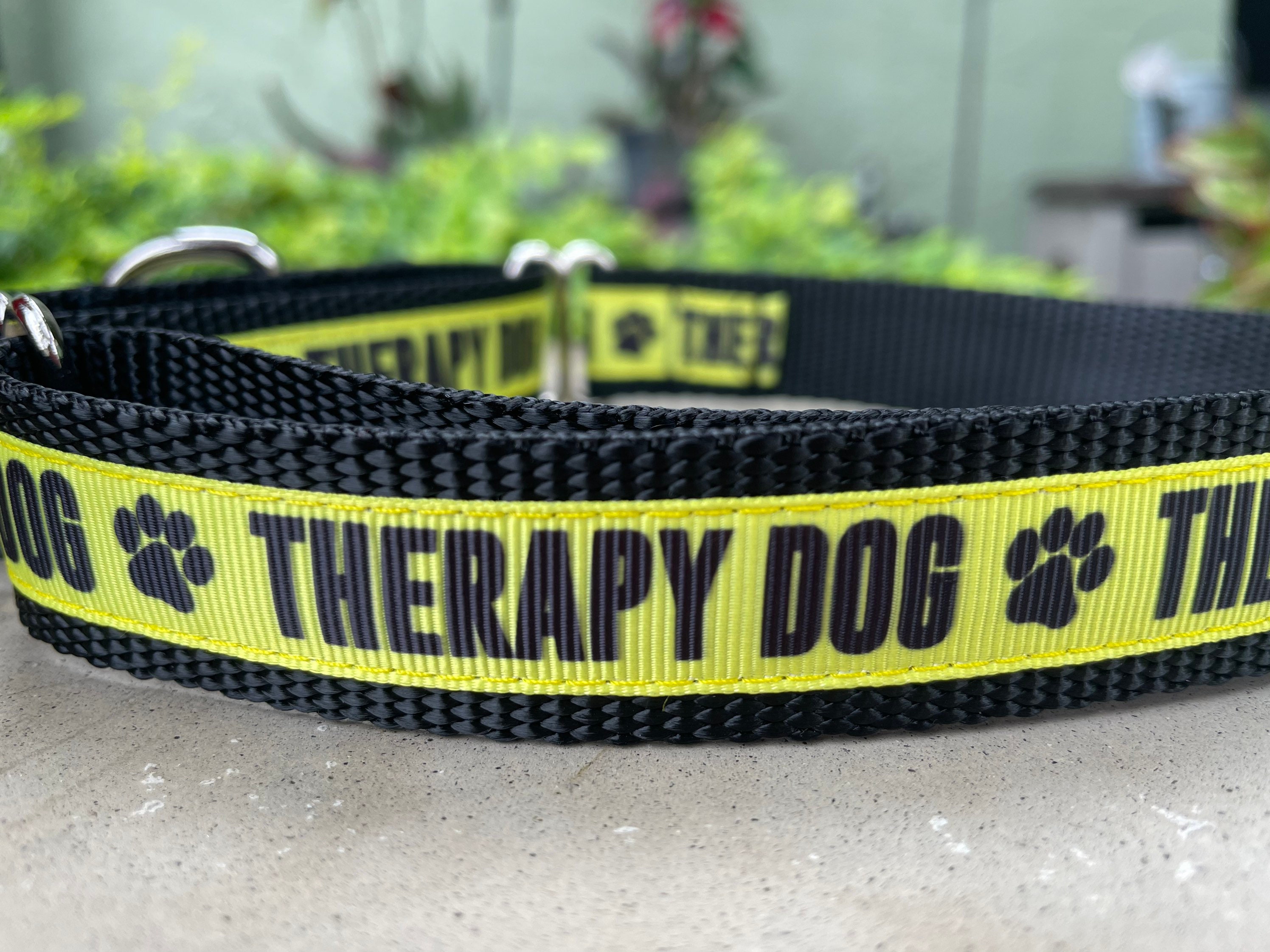 Therapiehund Patch 2er Set - 'Nicht Anfassen' Klettaufnäher