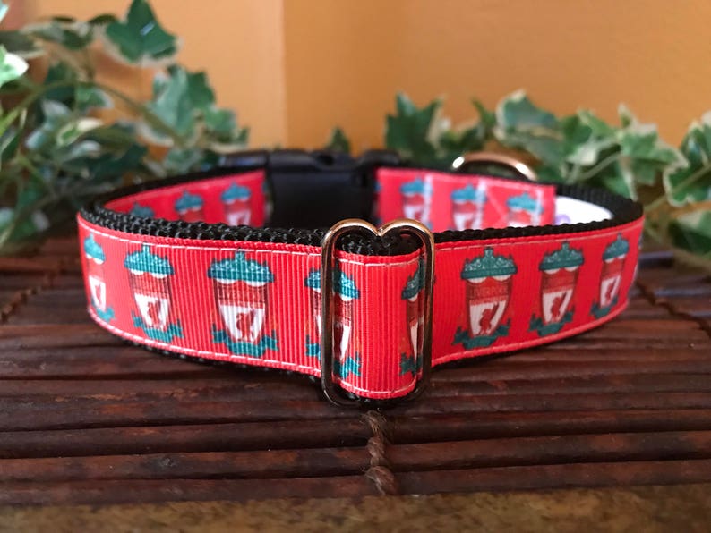 Liverpool Football Club Dog Collar Etsy