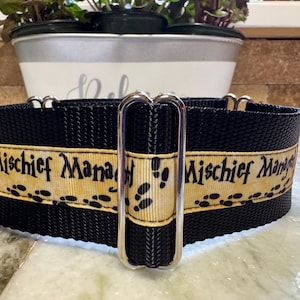 Mischief Managed Dog Collar