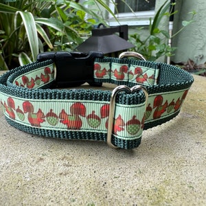 3/4" & 1" Patchwork Squirrel Dog Collar
