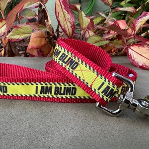 3/4" or 1" I am Blind Dog Collar