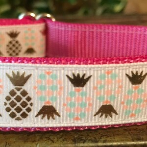 3/4" Pineapples Dog Collar