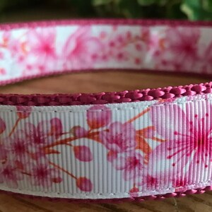 Pink Floral Dog Collar