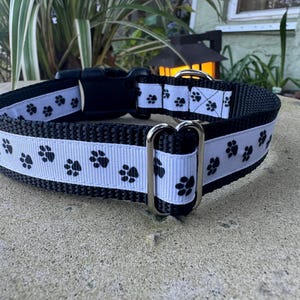 3/4" & 1" Paw Prints Dog Collar