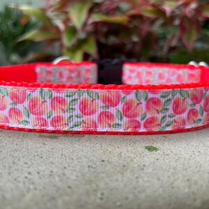3/4" and 1" Peaches Dog Collar