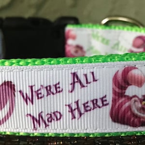 Cartoon Cat Dog Collar