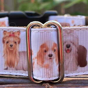 Puppy Love Dog Collar