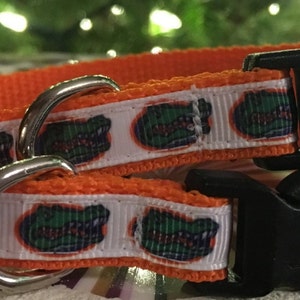 Cat or Small Dog Gator Collar