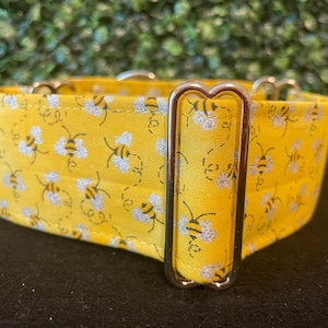1.5" or 2" Bumblebee Dog Collar