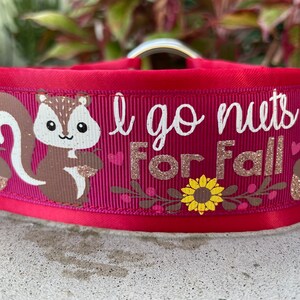 1.5" or 2" Nuts for Fall Dog Collar