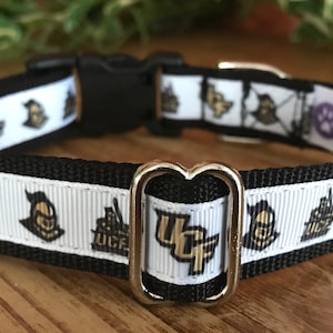 1/2" and 3/4" Florida College Dog Collar for Cats and Small Dogs Too!