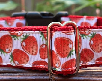 Strawberry Dog Collar