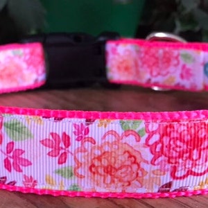 Summer Floral Dog Collar