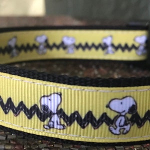 3/4" and I" Cartoon Dog Collar