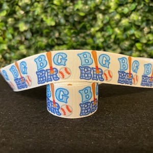 Big Brother Dog Collar