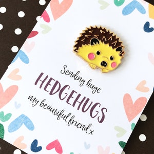 Sending a Hug Gift - Thinking of You Hedgehog Friend Present