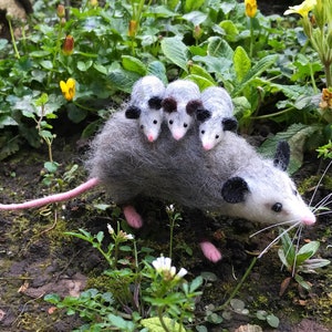PDF FILES Needle Felt Pattern - Realistic Mama Opossum And Babies  - beginner/ intermediate - The Wishing Shed