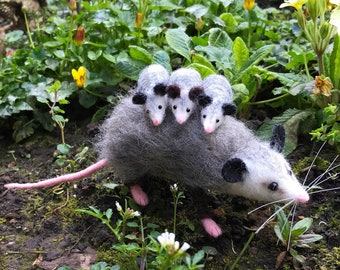realistic stuffed opossum