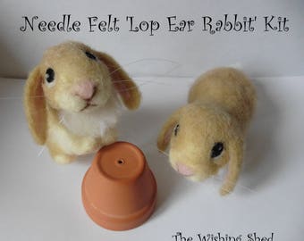 Needle Felt Sleeping Baby Bunny Kit Gift craft work beginner intermediate Wild Rabbit The Wishing Shed