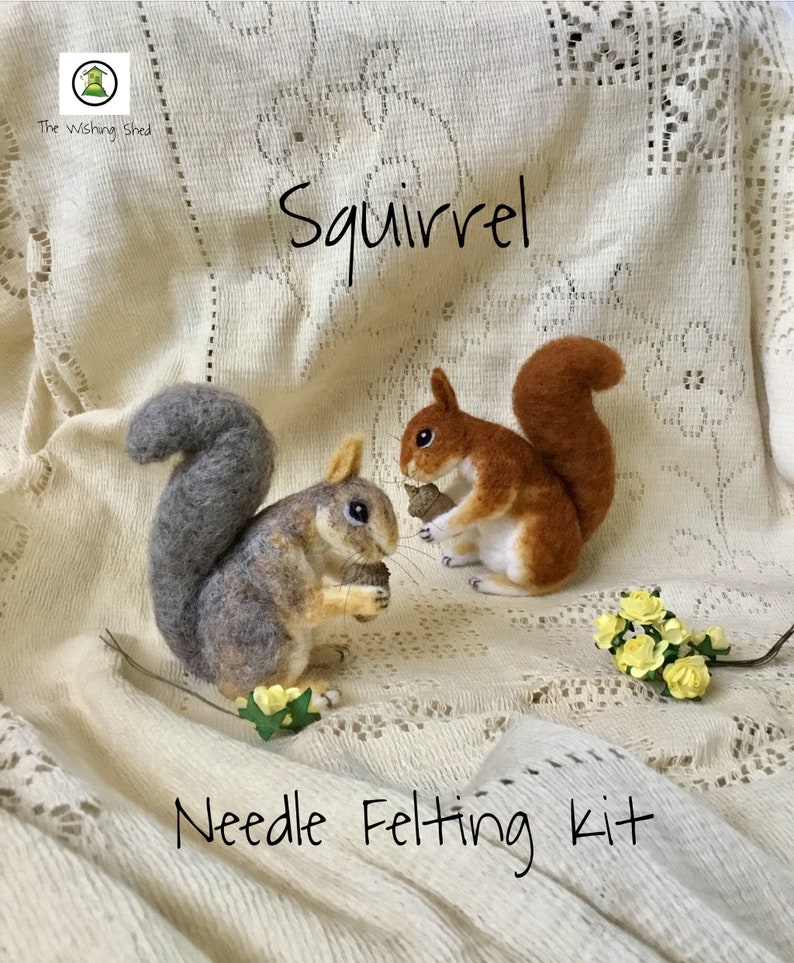 Needle Felt Squirrel Needle Felting Kit Beginner/ Etsy