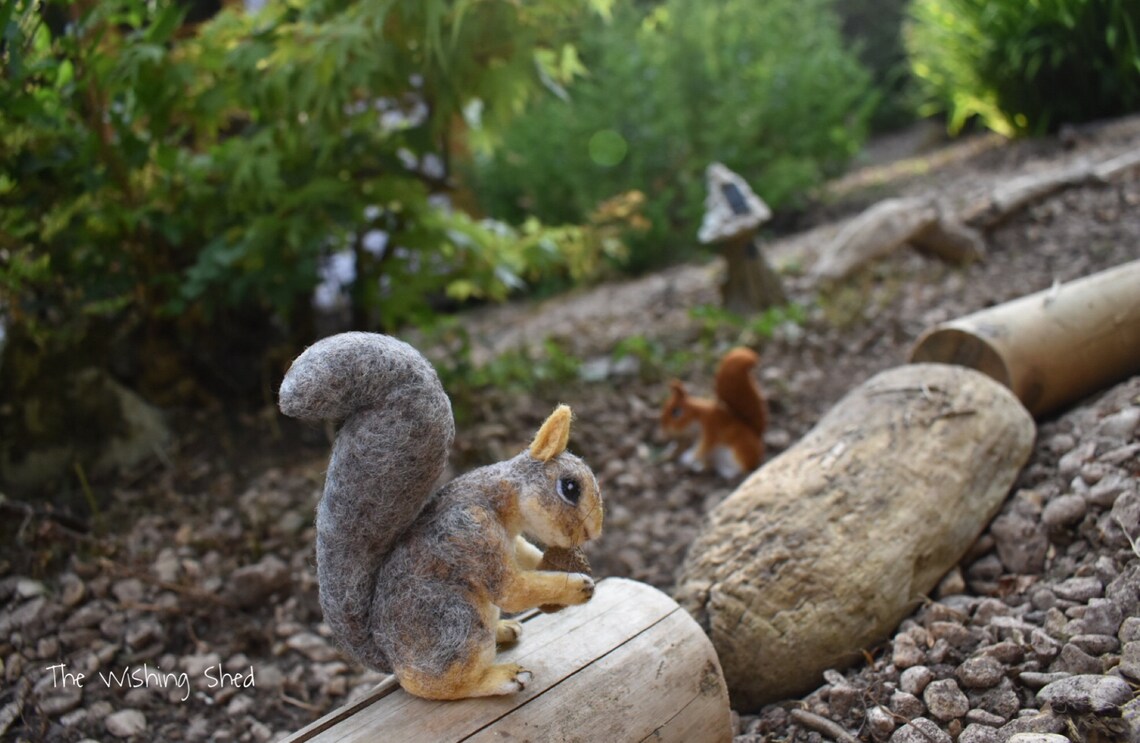 Needle Felt Squirrel Needle Felting Kit Beginner/ Etsy
