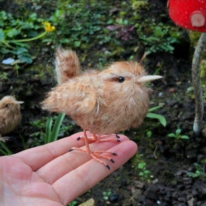 May include: A small, brown, fluffy bird with a long beak is perched on a hand. The bird has a light brown body with darker brown markings. The bird's eyes are black and its beak is long and pointed. The bird is sitting on a hand with red nail varnish.