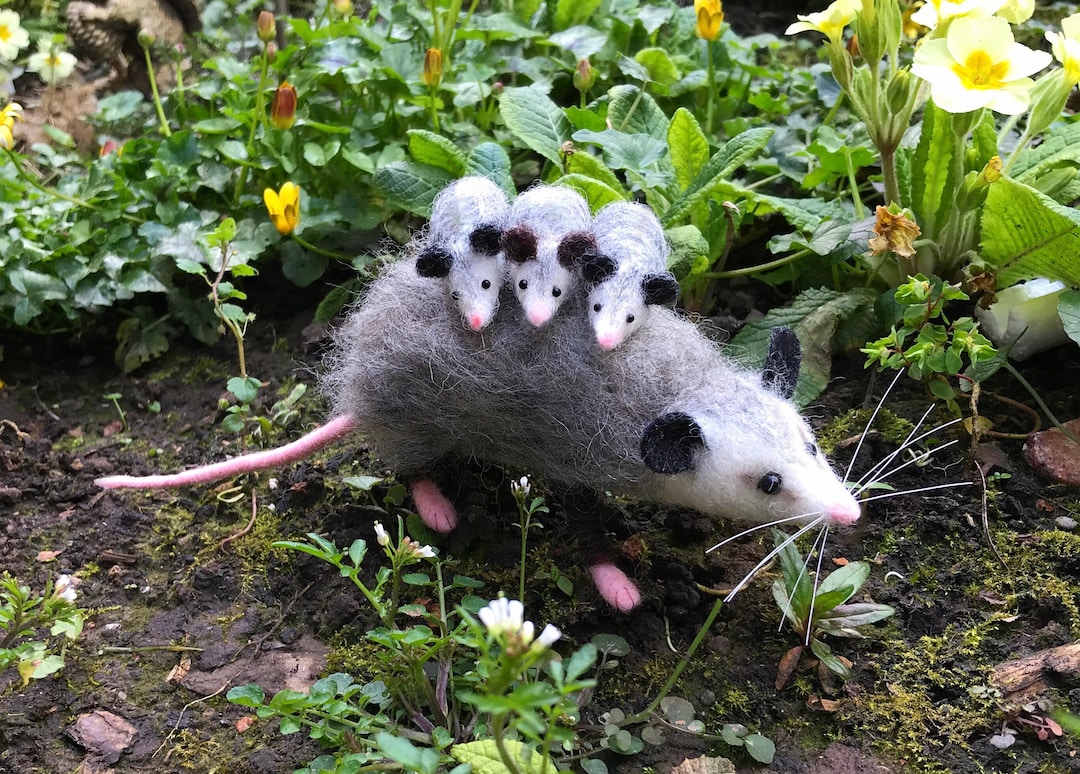 PDF FILES Needle Felt Pattern Realistic Mama Opossum and Babies Instant