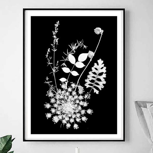 Flower Print Floral Print Wall Art Download Black and White - Etsy