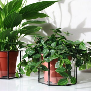 Geometric plant pot / octagon / glass plant holder / hanging plant holder image 5