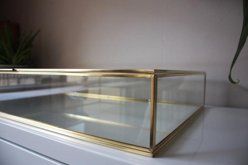 Extralarge Sizes Custom Order Glass Display Case from 40 Cm Etsy