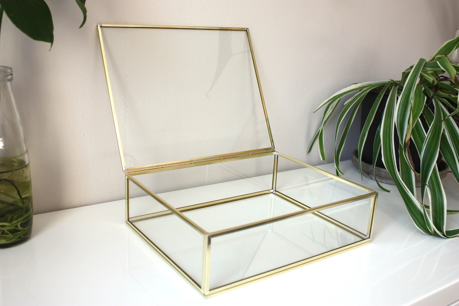 Silver Display Case 40 X 20 Cm 16 X 8 Brass Box Etsy